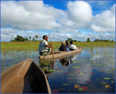 accounting services, tax services