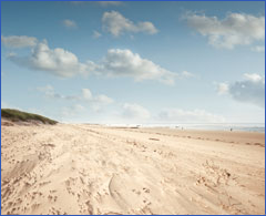 accounting services, tax services