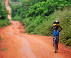 accounting services, tax services